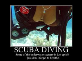 Divers Photo Gallery